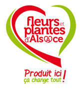 logo-fleurs-et-plantes-d-alsace2
